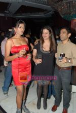 at Anti piracy bash hosted by Satish Reddy in Enigma on 16th Dec 2009 (146).JPG
